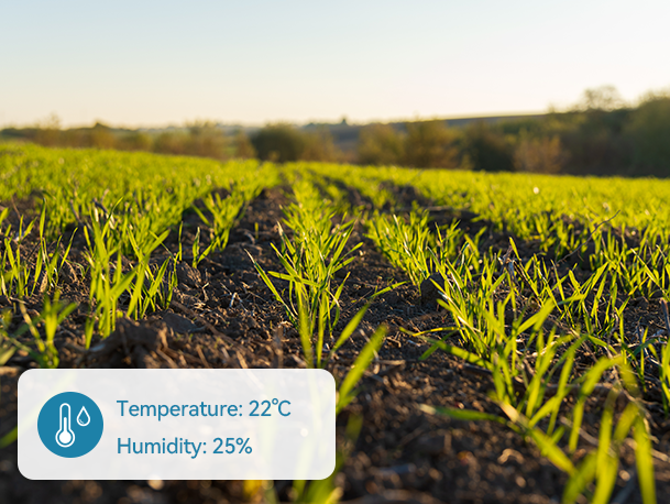 Soil temperature and humidity monitoring in the field