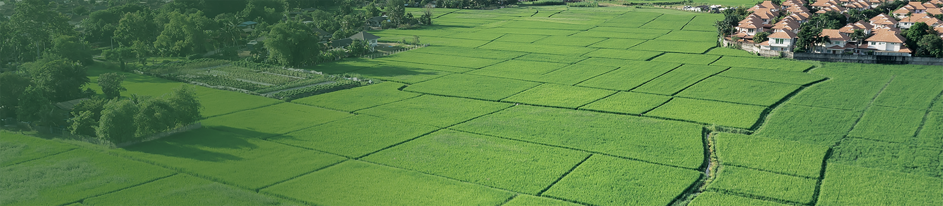 Aerial view of connected farmland