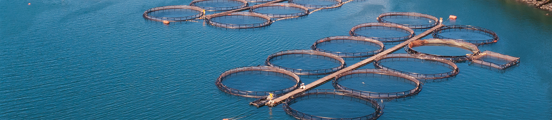 Aquaculture water quality monitoring site